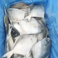 Pomfret de plata congelada